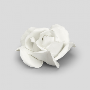 Rose de Sèvres